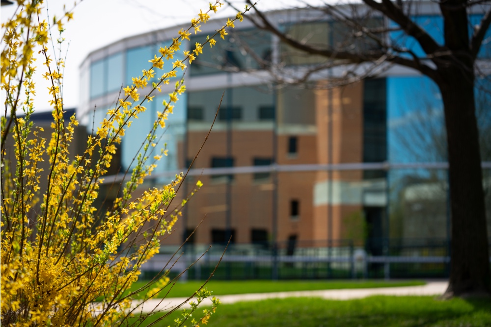 UPDATE ON THE IMPACT OF INTERIM Q&A RELATED TO TITLE IX